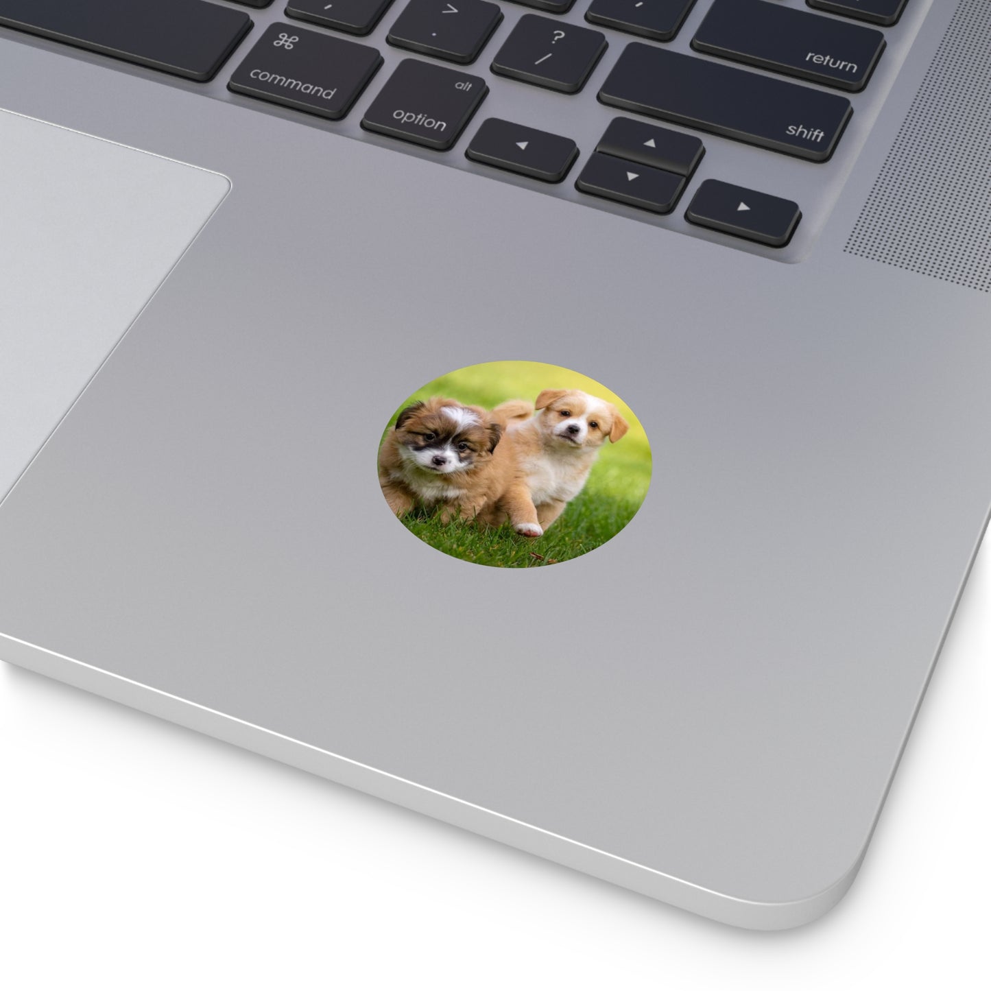 Round Vinyl Stickers  Cute Puppies