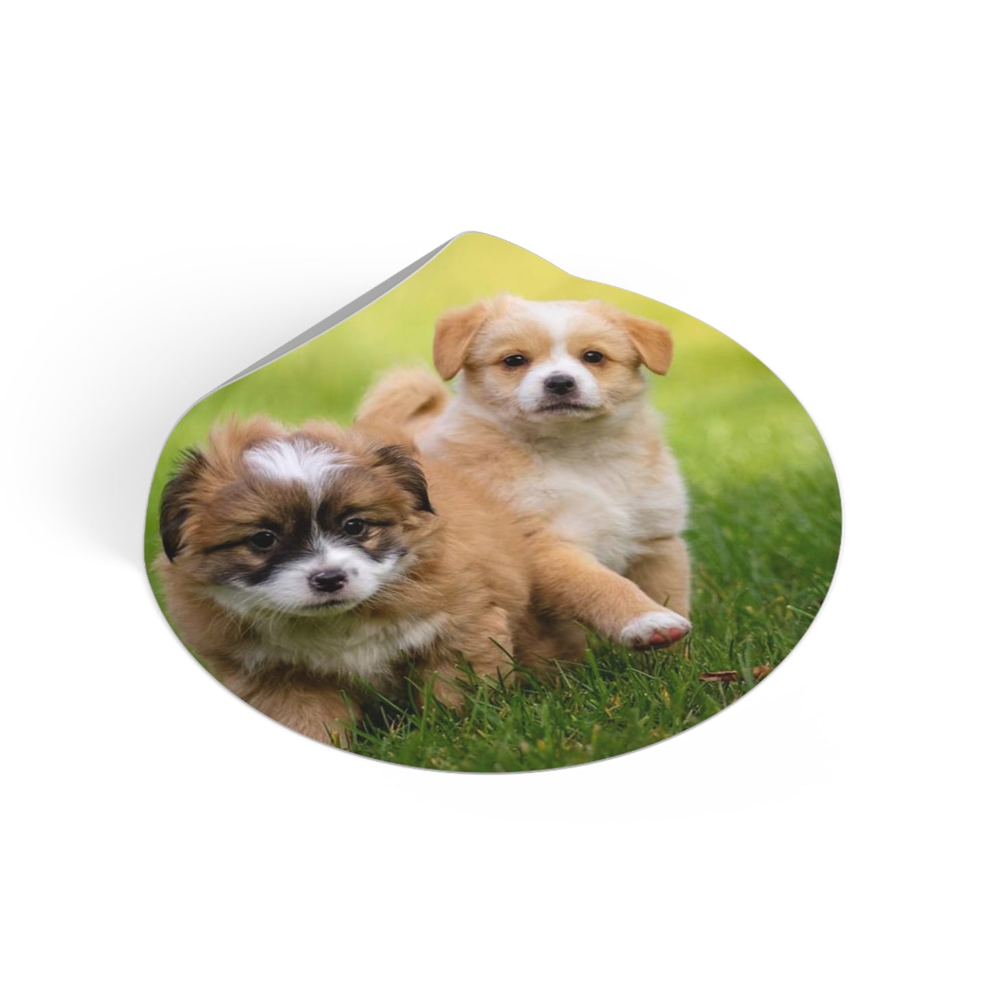 Round Vinyl Stickers  Cute Puppies