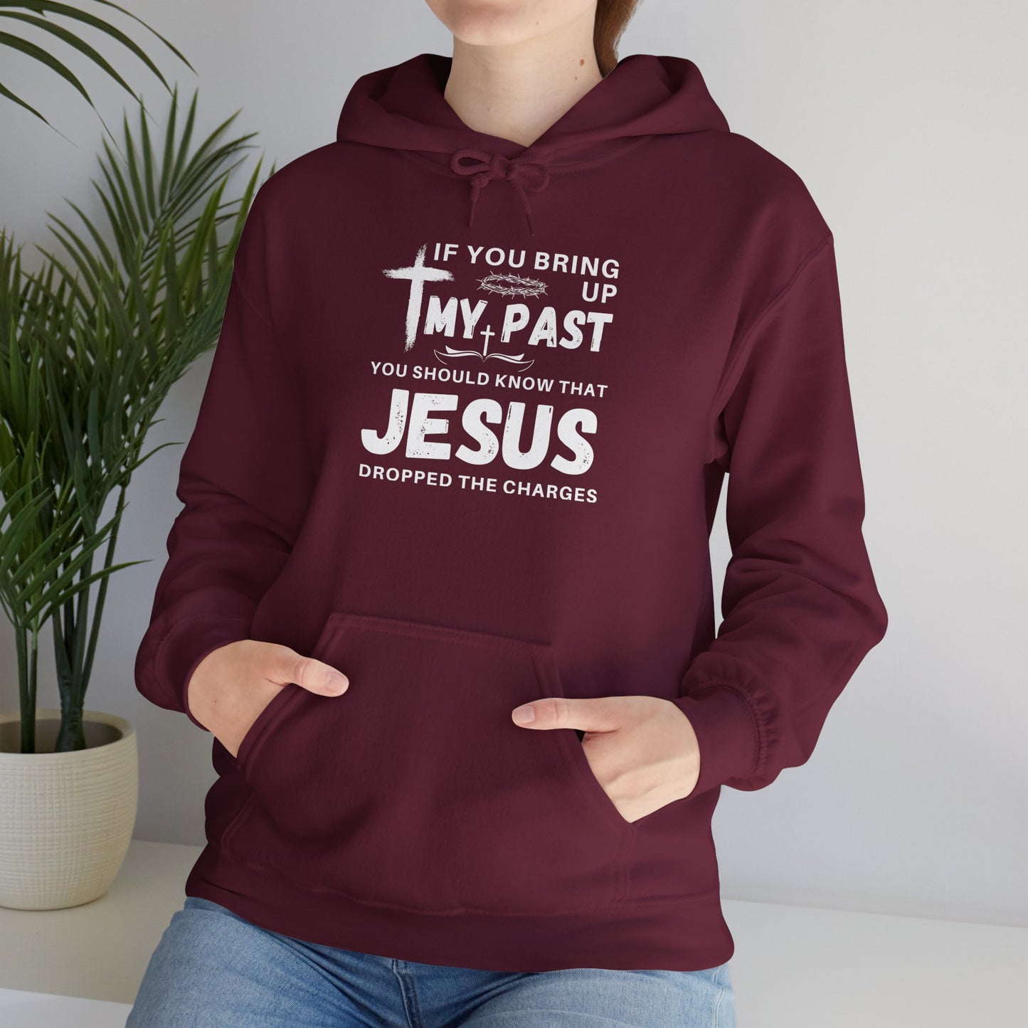 IF YOU BRING UP MY PASS YOU SHOULD KNOW JESUS DROPPED THE CHARGES Hoodie